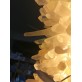 AM1110 DIAMOND RING QUARTZ 